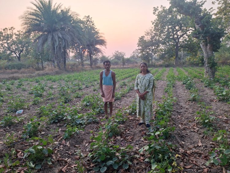 आधुनिक तकनीक से बढ़ा सब्जी का उत्पादन  