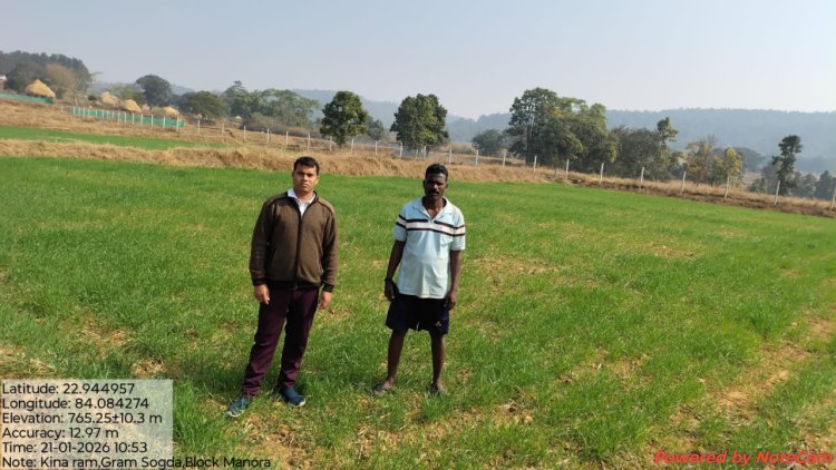 कम लागत में ज्यादा मुनाफा: रबी में गेहूं की खेती से किसानों की बढ़ी आमदनी