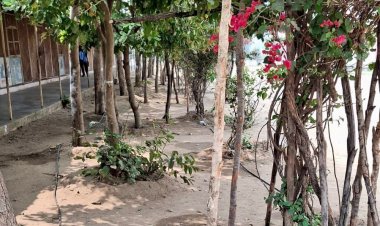 सुकमा : नवाचार की मिसाल : पोटाकेबिन में 'वेस्ट वॉटर मैनेजमेंट' के जरिए लहलहा उठी बगिया