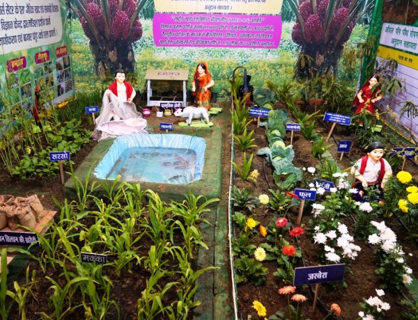 राजिम कुंभ कल्प में आधुनिक खेती का संदेश