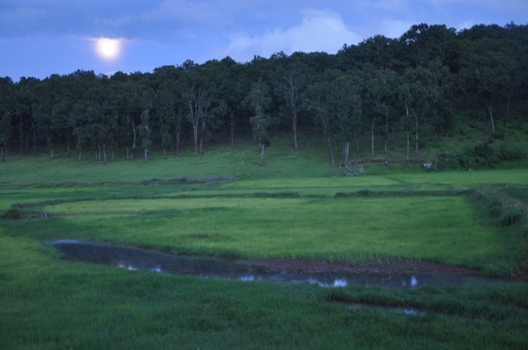 प्रकृति, संस्कृति और मनोरंजन का त्रिवेणी संगम : 13 फरवरी से सजेगा तीन दिवसीय ’मैनपाट महोत्सव’ का भव्य मंच