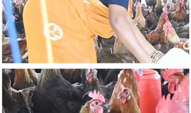 धमतरी : आजीविका मिशन से बदली तस्वीर: चर्रा की योगेश्वरी देवांगन बनीं महिला सशक्तिकरण की प्रेरणा