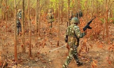 बस्तर का 96 फीसदी हिस्सा नक्सलमुक्त, संभाग के 1000 गांवों से नक्सलियों का सफाया, दंतेवाड़ा से हटा पहला पुलिस कैंप