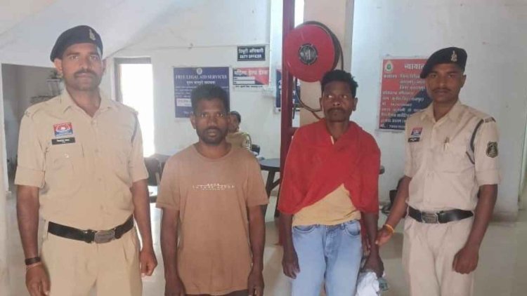 बलरामपुर के तुर्रीपानी गांव में अफीम की खेती, पुलिस ने दो लोगों की किया गिरफ्तार, 2 करोड़ का अफीम भी जब्त