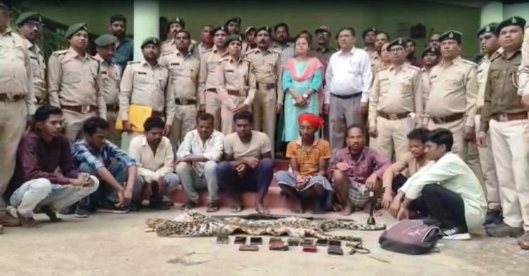 तेंदुए की खाल की तस्करी पर वन विभाग की बड़ी कार्रवाई, 9 आरोपी गिरफ्तार  