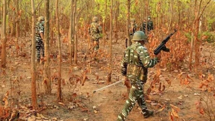 बस्तर का 96 फीसदी हिस्सा नक्सलमुक्त, संभाग के 1000 गांवों से नक्सलियों का सफाया, दंतेवाड़ा से हटा पहला पुलिस कैंप