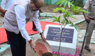 राज्यपाल रमेन डेका ने जशपुर के मातृत्व वन में किया सीता अशोक के पौधे का रोपण