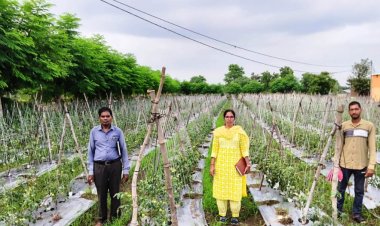 रायपुर : राष्ट्रीय कृषि विकास योजना: ईश्वरी प्रसाद ने टमाटर उत्पादन से कमाए 02 लाख 90 हजार रूपए