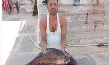 सफलता की कहानी:-मछली पालन से आत्मनिर्भर बने प्रकाश धीवर,क्षेत्र के 20 लोगों को दे रहे रोजगार...