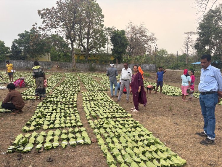 हरा सोना संग्राहकों की आय बढ़ाने की दिशा में बड़ा कदम,  लगभग 920 करोड़ रुपए का होगा संभावित भुगतान,,,