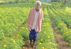 रायपुर : धान छोड़ फूलों की खेती ने बदली आनंदराम की तकदीर