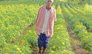 रायपुर : धान छोड़ फूलों की खेती ने बदली आनंदराम की तकदीर