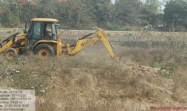 रायपुर : बिलासपुर की लाइफलाइन अरपा के तट पर उगेगा मियावाकी जंगल