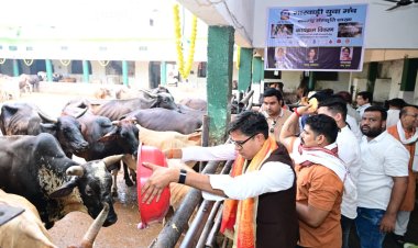 जन्मदिवस के अवसर पर वित्त मंत्री श्री ओपी चौधरी ने की गौ-सेवा, संरक्षण के प्रयासों को सराहा,