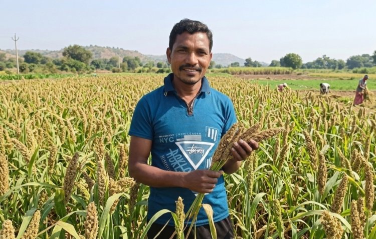 सफलता की कहानी : मिलेट से बढ़ी आय, किसानों के जीवन में आई खुशहाली,श्री अन्न की खेती बन रही लाभ का नया माध्यम,,,